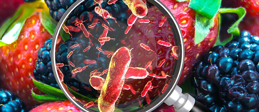 Alarming Rise in Foodborne Illnesses Spurs Urgent Concerns, NHS Data Highlights