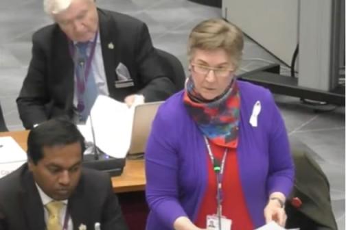 Chiswick Licensing Dispute Highlights Tensions Over New Restaurant Proposal