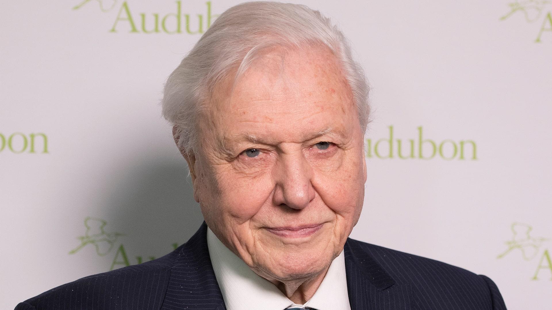 David Attenborough’s Chiswick Legacy- Enriching Lives and Inspiring Change