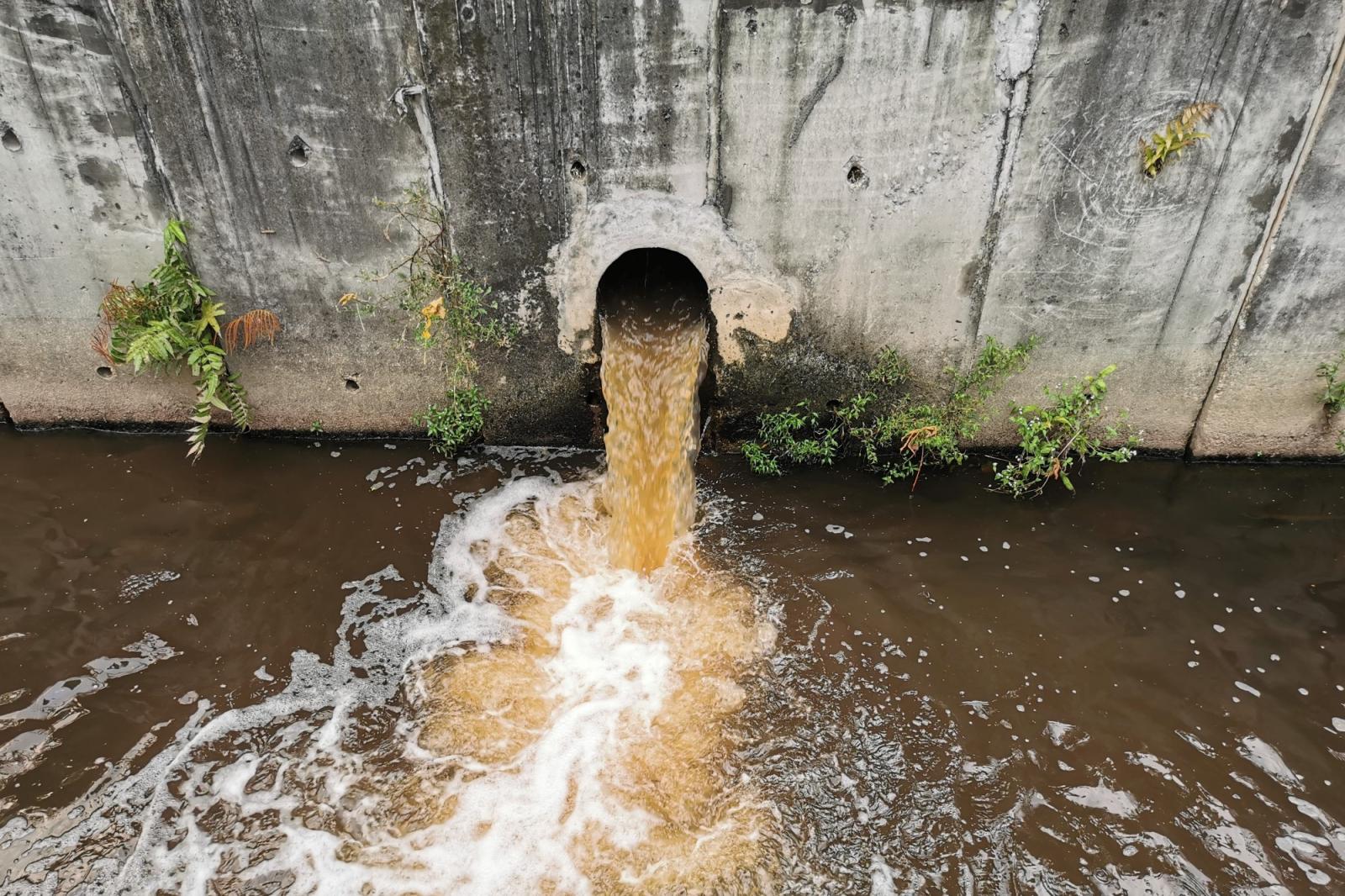 Thames Water Faces £104m Fine for Sewage Mismanagement